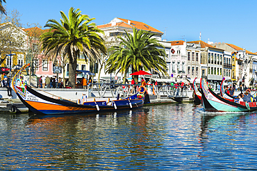 Moliceiros moored along the main canal, Aveiro, Venice of Portugal, Beira Littoral, Portugal, Europe