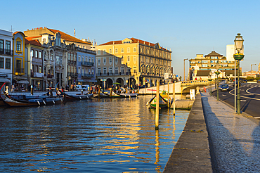 Moliceiros moored along the main canal at sunset, Aveiro, Venice of Portugal, Beira Littoral, Portugal, Europe