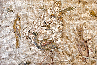 Mosaic of birds and flowers from Daphne (Harbiye), 2nd century AD, Hatay Archaeology Museum, Antioch, Hatay province, Southwest Turkey, Anatolia, Turkey, Asia Minor, Eurasia 