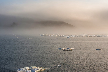 Cape Waring, Wrangel Island, UNESCO World Heritage Site, Chuckchi Sea, Chukotka, Russian Far East, Russia, Eurasia 