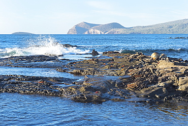 Waves breaking on the coast of Puerto Egas, Santiago Island, Galapagos, UNESCO World Heritage Site, Ecuador, South America