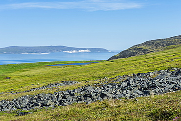 Ittygran Island, Chukotka, Russia, Eurasia