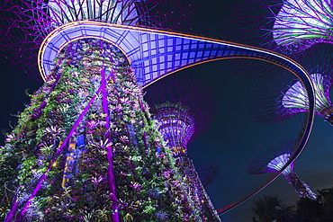 Gardens by the Bay at night, Singapore, Southeast Asia, Asia