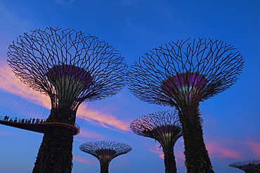 Gardens by the Bay at night, Singapore, Southeast Asia, Asia