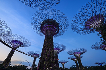 Gardens by the Bay at night, Singapore, Southeast Asia, Asia