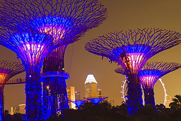 Gardens by the Bay at night, Singapore, Southeast Asia, Asia