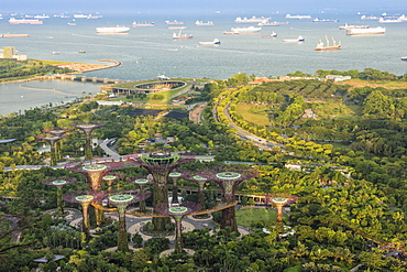 View over the Gardens by the Bay, Singapore, Southeast Asia, Asia