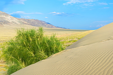 Singing Dunes, Altyn-Emel National Park, Almaty region, Kazakhstan, Central Asia, Asia