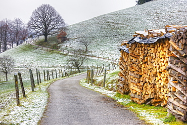 Winding road and wood pile near St. Trudpert Monastery, Munstertal, Black Forest, Baden-Wurttemberg, Germany, Europe 