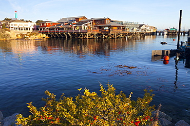 Old Fisherman's Warf, Monterey, California, United States of America, North America