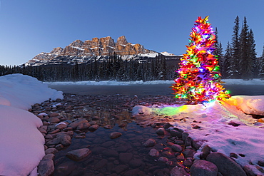 Christmas Tree, Castle Mountain and the Bow River in Winter, Banff National Park, Alberta, Canada, North America