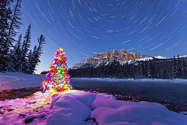 Christmas Tree and Star Trails at Castle Mountain in Winter, Banff National Park, Alberta, Canada, North America