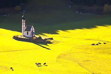 Saint Johann Church, near Saint Magdalena, Val di Funes, Dolomites, Trentino-Alto Adige, South Tirol, Italy, Europe 