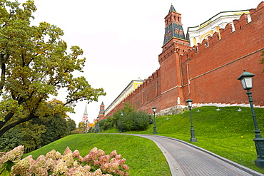 Path outside the walls of the Kremlinin in Alexandrovsky Gardens, Moscow, Russia, Europe