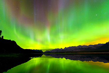 Aurora (Northern Lights) reflected in Lower Kananaskis Lake, Peter Laugheed Provincial Park, Alberta, Canada, North America