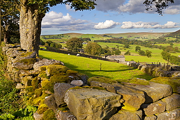 Farm near Burnsall, Yorkshire Dales National Park, Yorkshire, England, United Kingdom, Europe 