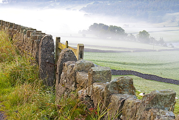 Stone Fence, Burnsall, Yorkshire Dales National Park, Yorkshire, England, United Kingdom, Europe 