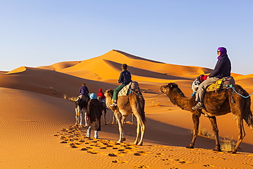 Tourists on camel safari, Sahara Desert, Merzouga, Morocco, North Africa, Africa 