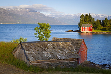 An idyllic rural island in the Hardanger Fjord, Hordaland, Norway, Scandinavia, Europe