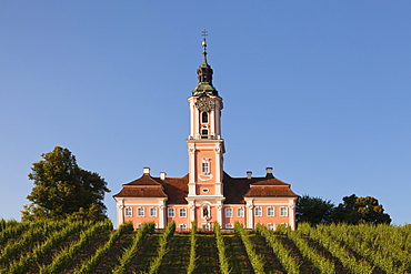 Vineyards and pilgrimage church of Birnau Abbey, Unteruhldingen, Lake Constance, Baden Wurttemberg, Germany, Europe