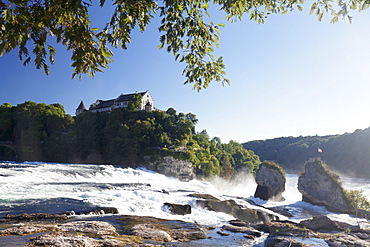 Rhine Falls (Rheinfall) waterfalls with Schloss Laufen castle, Neuhausen near Schaffhausen, Canton Schaffhausen, Switzerland, Europe