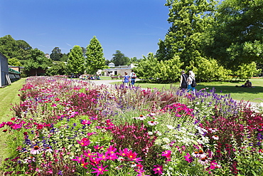 Wilhelma Zoo and Botanical Gardens, Stuttgart, Baden Wurttemberg, Germany, Europe