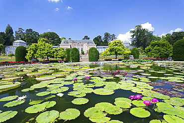 Moorish Garden with water lilies (genus Nymphaea),  Wilhelma, Zoo and Botanical Garden, Stuttgart, Baden Wurttemberg, Germany, Europe