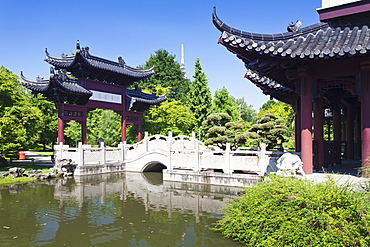 Tea house, Chinese Garden, Luisenpark municipal park, Mannheim, Baden Wurttemberg, Germany, Europe