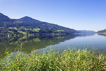 Alpsee Lake, Immenstadt, Allgau, Bavaria, Germany, Europe 