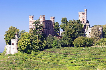 Schloss Ortenberg Castle, Offenburg, Ortenau, Black Forest, Baden Wurttemberg, Germany, Europe