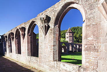 Hirsau Abbey, Black Forest, Baden Wurttemberg, Germany, Europe 