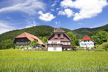 Black Forest houses, Gutachtal Valley, Black Forest, Baden Wurttemberg, Germany, Europe