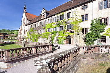 Bronnbach Cistercian monastery, Taubertal Valley, Romantic Road (Romantische Stravue), Baden Wurttemberg, Germany, Europe