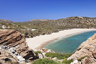 Beach and Palm Tree Forest, Vai, Lasithi, Eastern Crete, Crete, Greek Islands, Greece, Europe