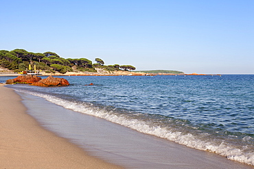 Beach of Palombaggia, Corsica, France, Mediterranean, Europe 