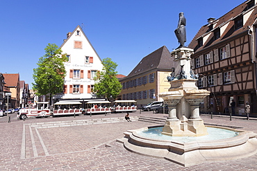 Tourist train, Fontaine Roesselmann, Place des Six-Montagnes-Noires, Colmar, Alsace, France, Europe