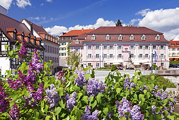 Donaueschingen, Black Forest, Baden Wurttemberg, Germany, Europe