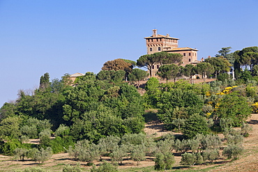 Palazzo Massaini, Pienza, Val d'Orcia (Orcia Valley), UNESCO World Heritage Site, Siena Province, Tuscany, Italy, Europe