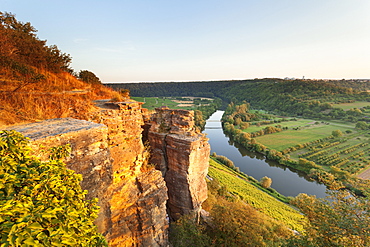 Hessigheim Felsengarten (Rock Gardens), Neckartal Valley, River Neckar, Baden Wurttemberg, Germany, Europe