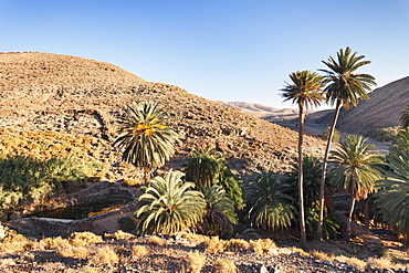 Barranco de la Madre de Agua, Ajuy, Fuerteventura, Canary Islands, Spain, Europe 