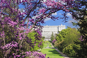 Campo del Moro Park, Royal Palace (Palacio Real), Madrid, Spain, Europe