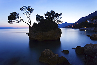 Tree on a rock in the sea, Brela, Makarska Riviera, Dalmatia, Croatia, Europe 