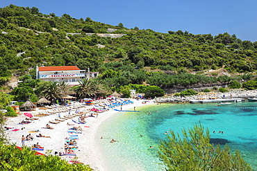 Beach near Hvar town, Hvar Island, Dalmatia, Croatia, Europe