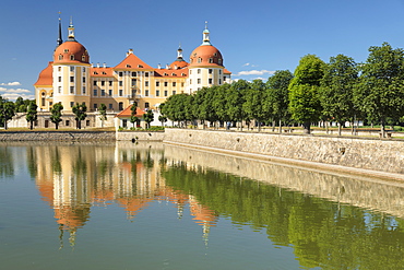 Moritzburg Castle, Moritzburg, Saxony, Germany, Europe