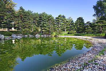 Japanese garden, North Park (Nordpark), Dusseldorf, North Rhine Westphalia, Germany, Europe 