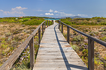 Path (boardwalk) to Porto Pollo Beach, Porto Puddu, Gallura, Sardinia, Italy, Mediterranean, Europe