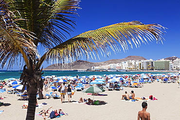 Playa de las Canteras, Las Palmas, Gran Canaria, Canary Islands, Spain, Atlantic, Europe