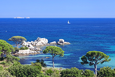 Beach of Palombaggia, Corsica, France, Mediterranean, Europe 