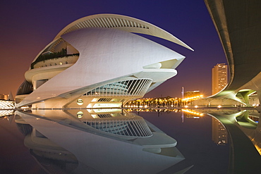 Palacio de las Artes Reina Sofia, the Opera House, City of Arts and Sciences (La Ciudad de las Artes y las Ciencias), Valencia, Comunidad Valencia, Spain, Europe