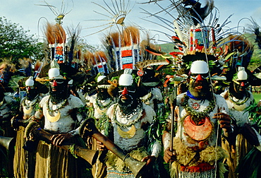 Tribal gathering Sing Sing at Mount Hagen in Papua New Guinea, South Pacific